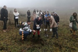 Mladi sa Daunovim sindromom posadili plantažu borovnica
