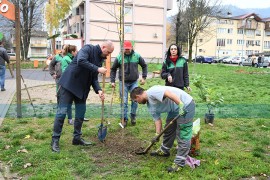 Radnici "Eko toplana" zasadili sadnice crvenog hrasta