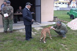 Smotra u Sanskom Mostu: Pas je istinsko blago za svakog lovca