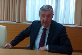 Radmanović: Sjednice ne treba zakazivati dok se ne riješe krupna ...