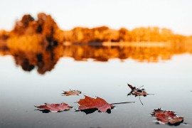 Pogledajte kakvo nas vrijeme očekuje u četvrtak