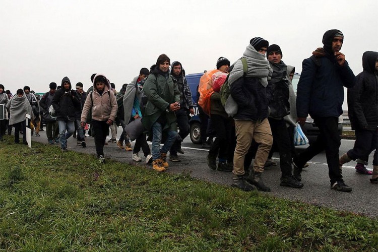 Zaustavljeno 100 migranata na granici Poljske i Bjelorusije