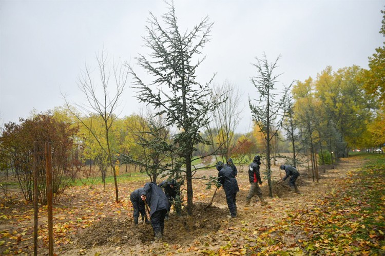 Banjaluka ipak dobija novi park