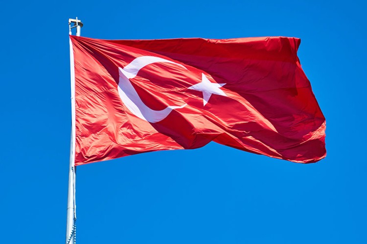 Oslobođen izraelski par optužen za špijunažu zbog navodnog slikanja Erdoanove rezidencije
