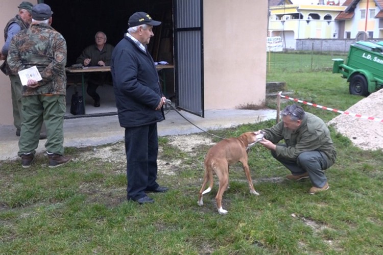Smotra u Sanskom Mostu: Pas je istinsko blago za svakog lovca