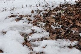 Kolovozi u Hrvatskoj klizavi, u Gorskom kotaru snijeg