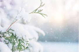 Rekordno niska temperatura u Sankt Peterburugu