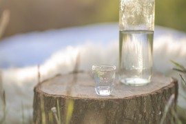 Šljivovica se pojavila u britanskom kvizu, odgovor postao viralan