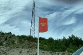 U Crnoj Gori četiri osobe preminule, 113 novooboljelih