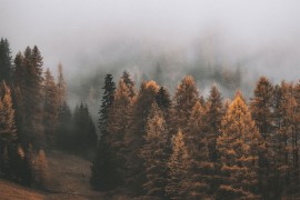 Kakvo nas vrijeme očekuje u četvrtak