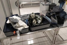 Na beogradskom aerodromu zaplijenjen prtljag natopljen kokainom