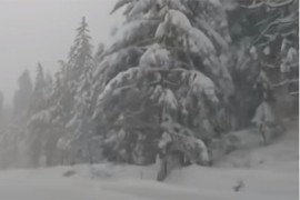 Snježne oluje u SAD, hiljade bez struje