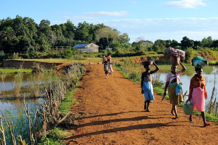 Klimatske promjene nisu razlog suše i gladi na Madagaskaru