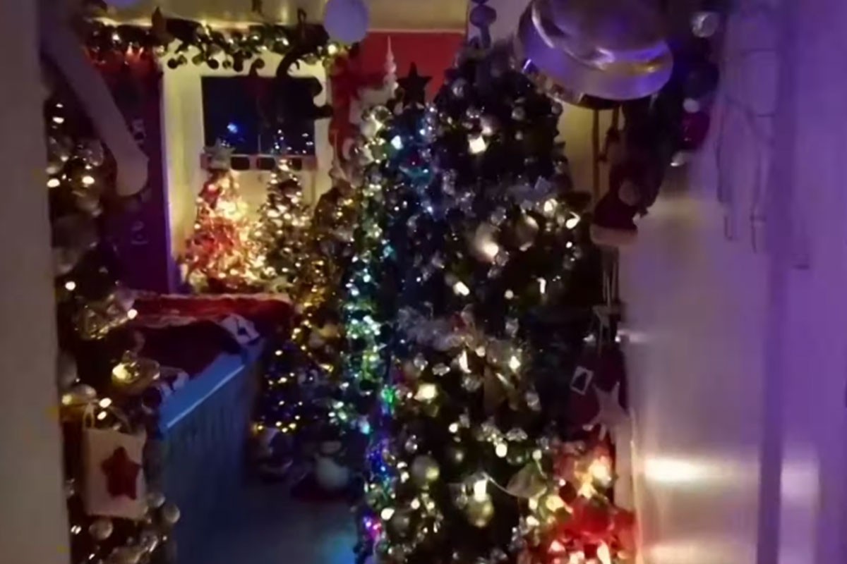 Njemačka porodica u stanu drži 444 novogodišnje jelke