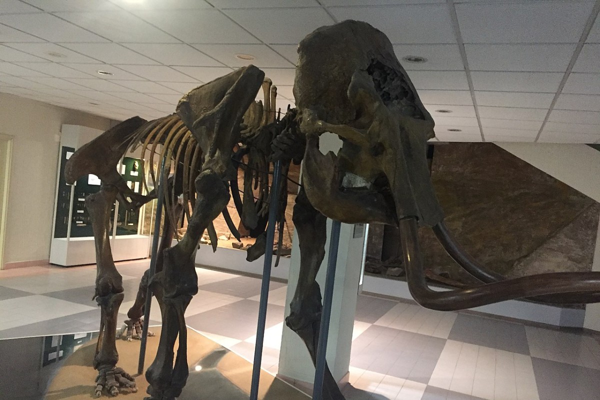 Skeleti pet mamuta iz vremena ledenog doba otkriveni u Velikoj Britaniji