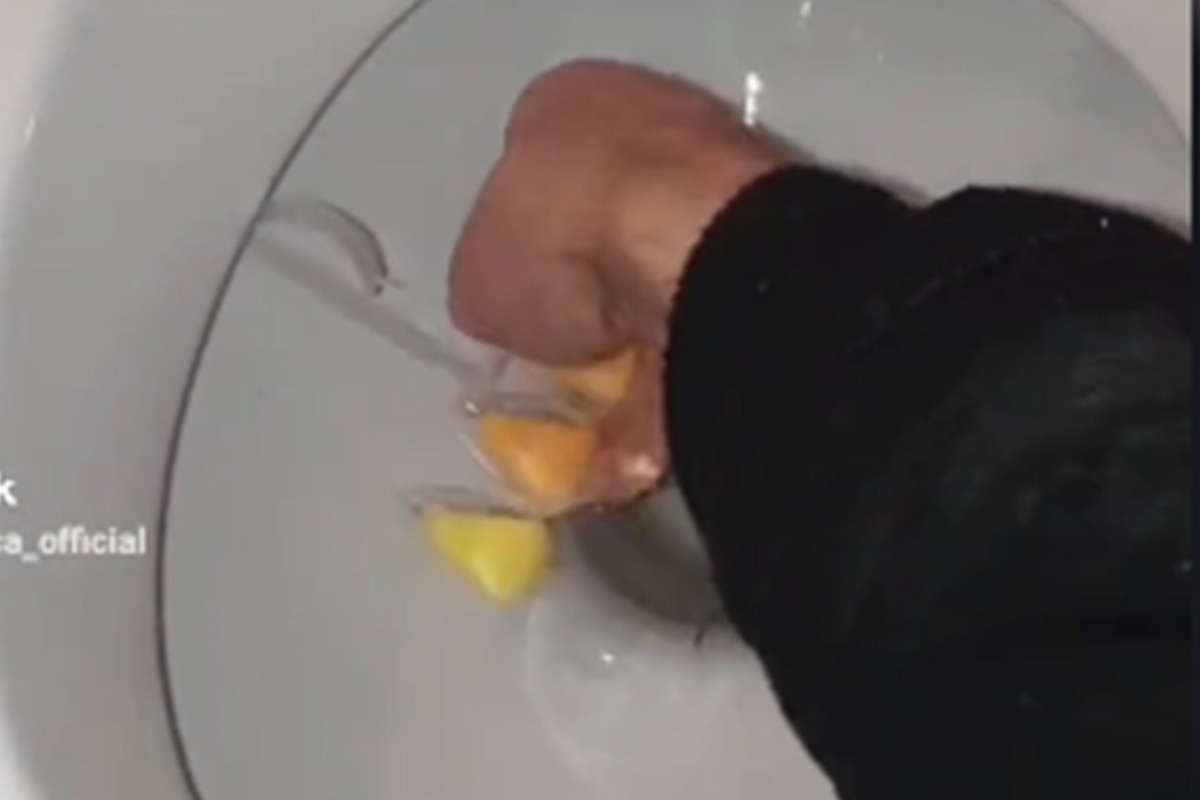 Kako da pravilno stavite osvježivač WC školjke