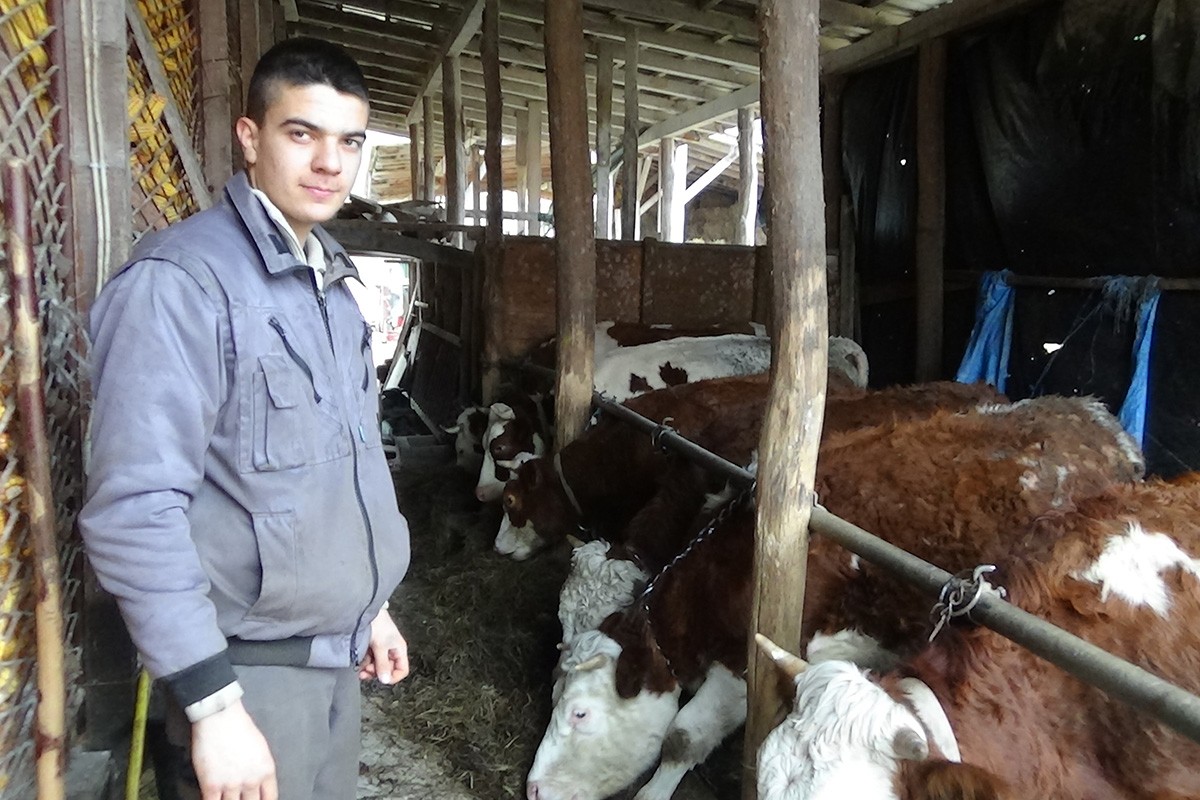 Mladi digli ruke od sela, zemlju nema ko da obrađuje