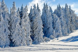 Pogledajte kada stiže vrhunac hladnog talasa u Srpsku