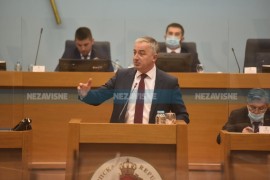 Borenović: SNSD, SDA i HDZ generatori političke krize u BiH