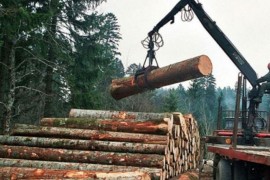 Pad proizvodnje i prodaje šumskih sortimenata