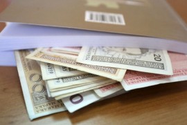 Isplaćeno milion KM podsticaja