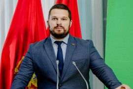 Mikić: Telefonske konsultacije o novoj vladi, razgovori od danas