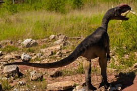 I dinosaurusi kašljali, kijali i imali groznicu