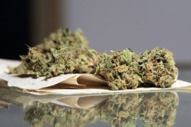 U Brodu oduzeti marihuana i tramadol