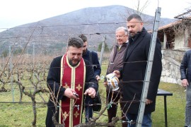 Podrumi "Vukoje 1982": Hercegovačko sunce i kamen u čaši