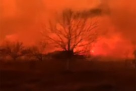 Požar u Vojvodini: Vatrena stihija u Futogu, plamen i na Fruškoj gori