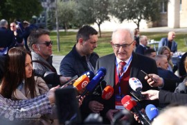 Ljubić: Od Save, preko Bužima, pa sve do Srebrenice osjećamo ovu ...