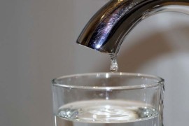 Suve slavine u dva banjalučka naselja