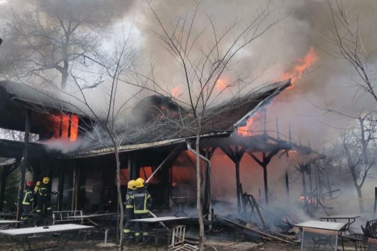 Izgorio restoran na Adi Ciganliji, vatrogasci se borili s plamenom
