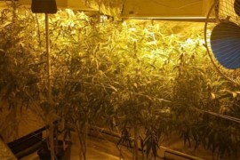 Pronađena laboratorija za proizvodnju droge