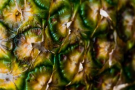Uzgojite ananas kao ukrasnu sobnu biljku