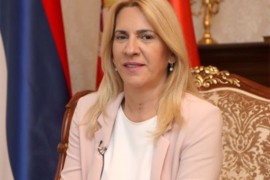 Cvijanović: BiH ne može poprijeko u EU
