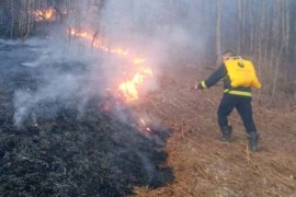 Ugašen veliki požar kod Milića