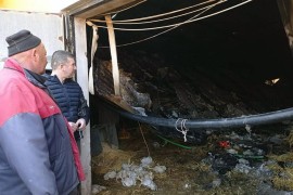 Izgorjela farma pilića, šteta 200.000 KM