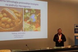 Hercegovina pogodna za dvostruku žetvu krompira