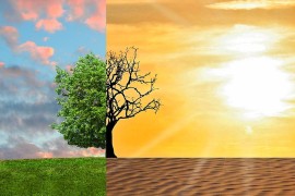 Klimatske promjene - da li se krećemo zatvorenih očiju ka katastrofi