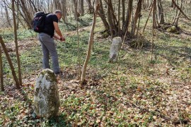 Kameni svjedoci prošlosti skriveni u gustoj šumi