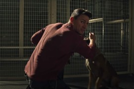 Osvojite ulaznice za film "Dog"