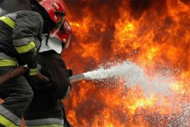 Izgorjela štala, dva konja se ugušila