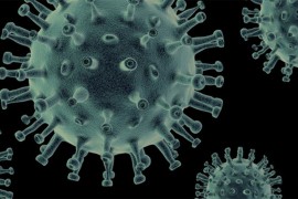 Na virus korona u FBiH pozitivno 151 lice, nema preminulih
