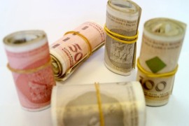 Za povrtarski sektor izdvojeno 1,8 miliona KM
