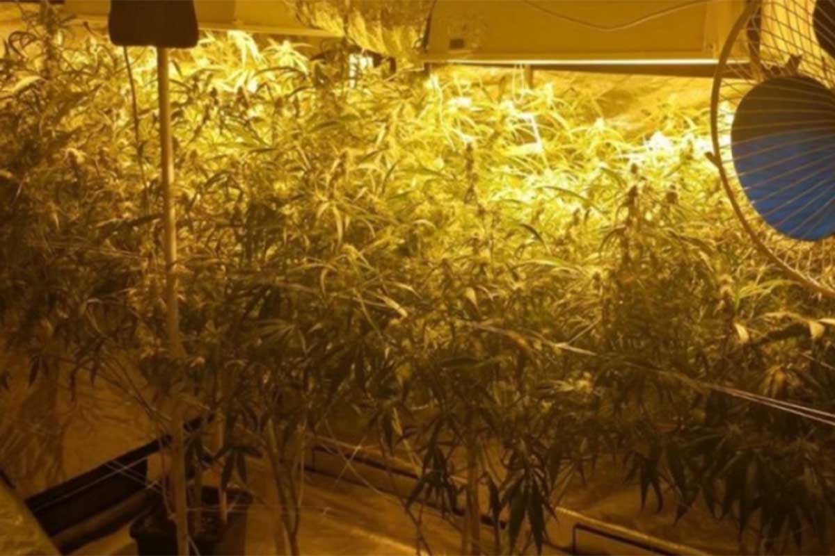 Pronađena laboratorija za proizvodnju droge