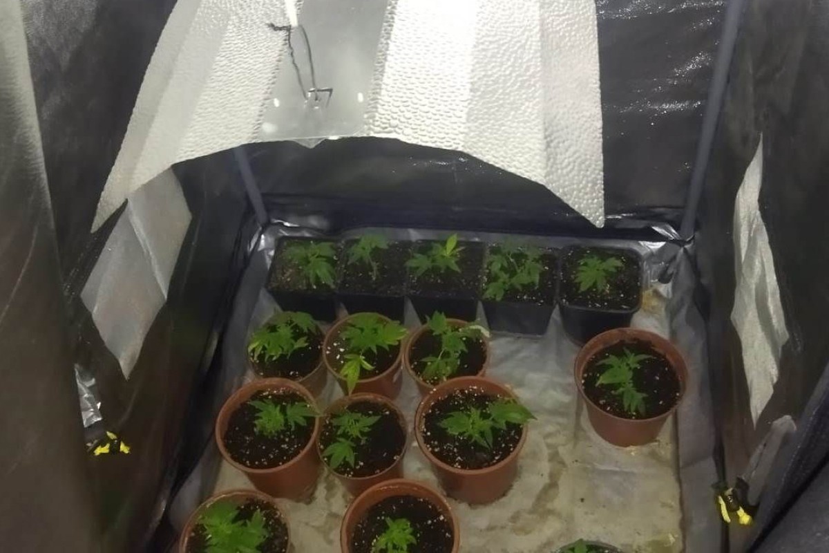 U Sarajevu pronađena laboratorija za uzgoj marihuane