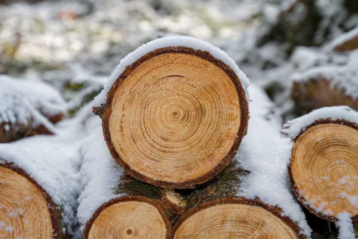Terete ih da su "Šume" oštetili za 39.335 KM