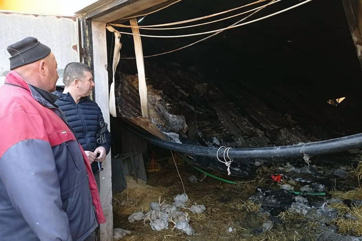 Izgorjela farma pilića, šteta 200.000 KM