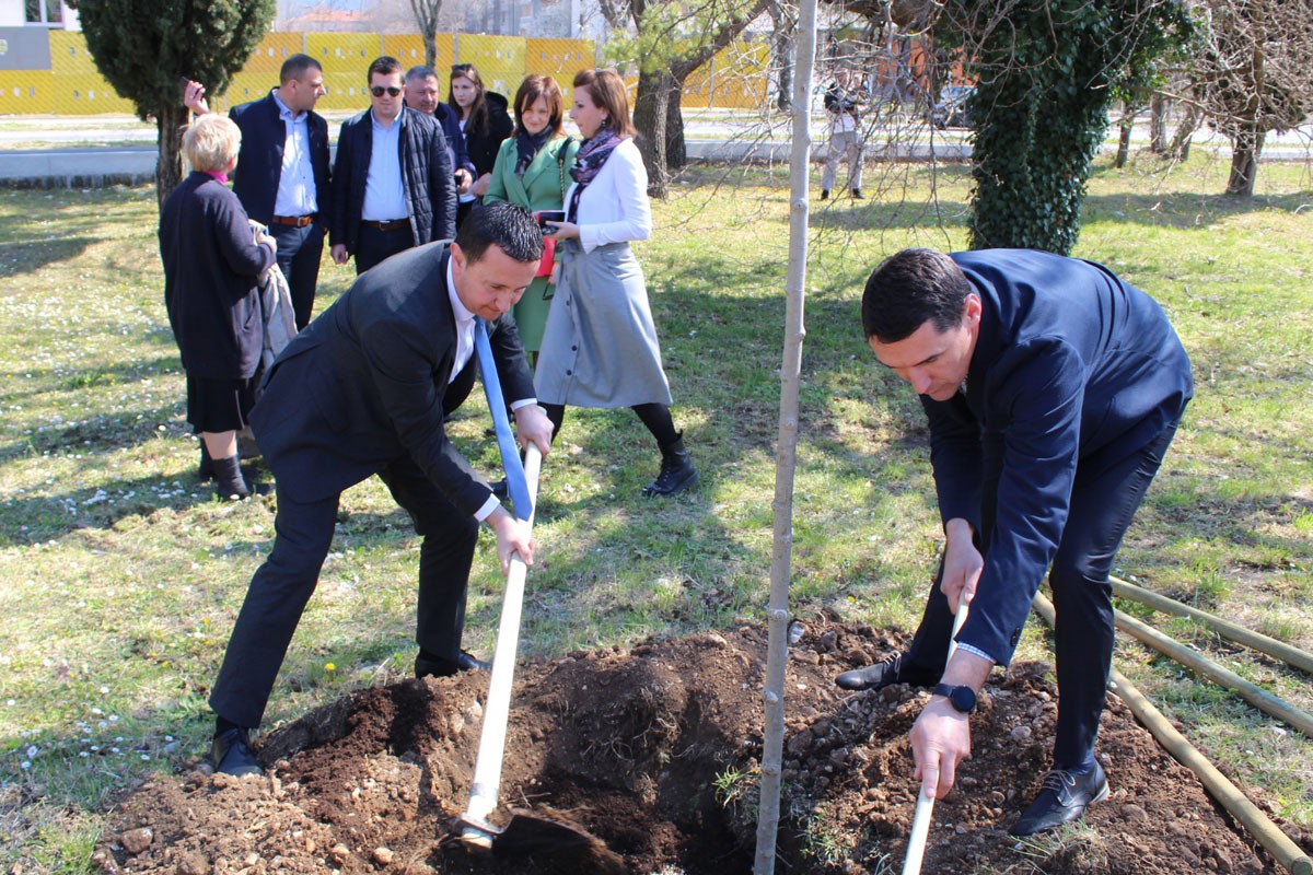 Hiljadu platana za ljepše Trebinje